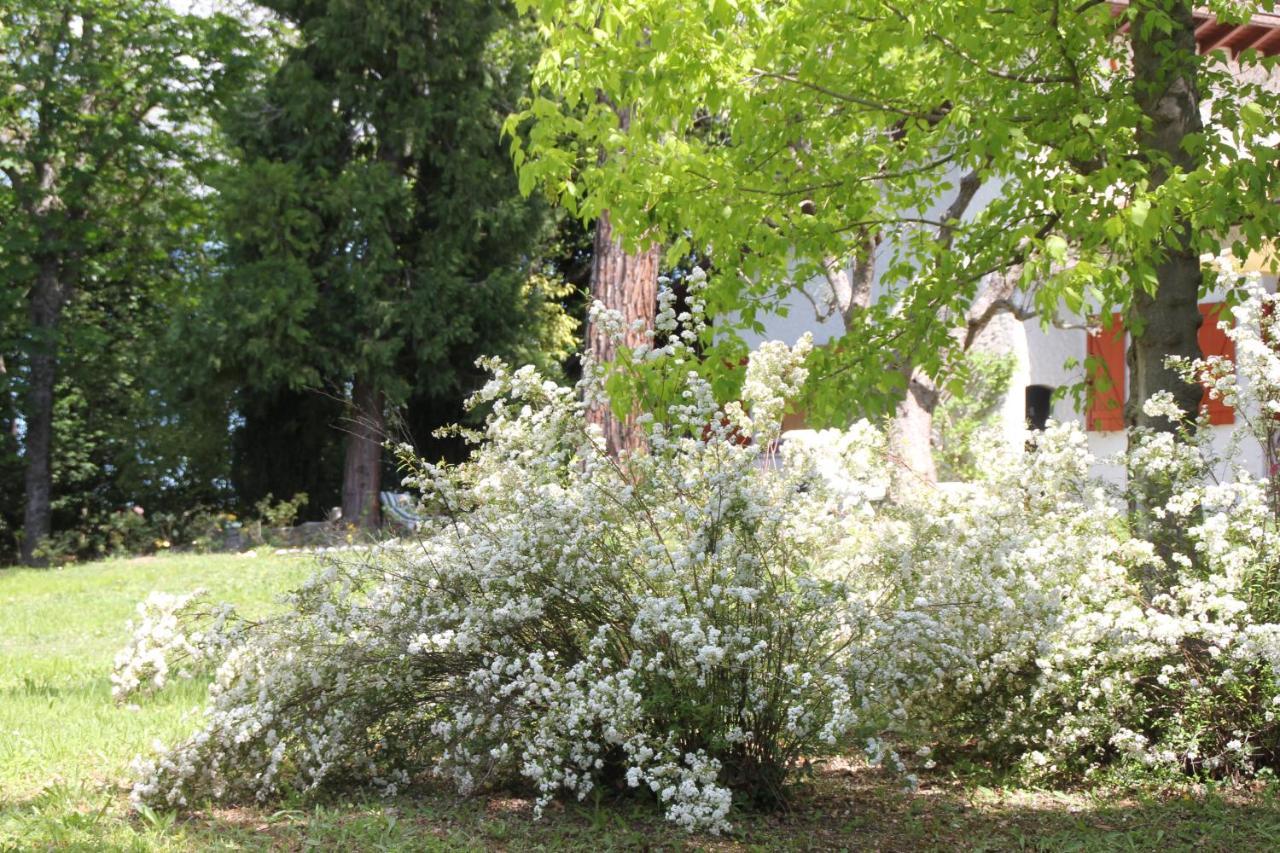 La Villa Del Nonno Montefelcino Exterior foto